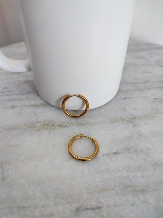 Anti-Tarnish Titanium Steel Golden Round Earrings | Jewellery for Girls & Women | Daily Wear AM to PM Jewellery